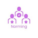 Team norming stage